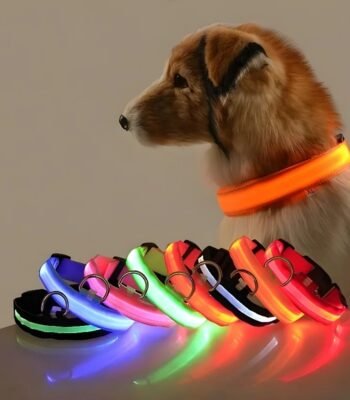 Illuminate Your Walks with the Nylon LED Night Safety Leash