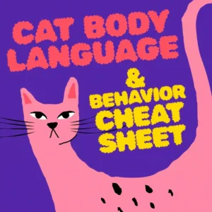 Cat Body Language & Behavior Cheat Sheet | Printable Cat Communication Guide | Learn Feline Signals, Postures & Meows