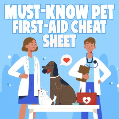 Must-Know Pet First-Aid Cheat Sheet | Emergency Printable Guide for Pet Owners | Vet Tips