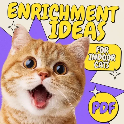 Enrichment Ideas for Indoor Cats | Printable Cat Enrichment Guide | DIY Toys, Play Routines, and Cat-Friendly Home Tips