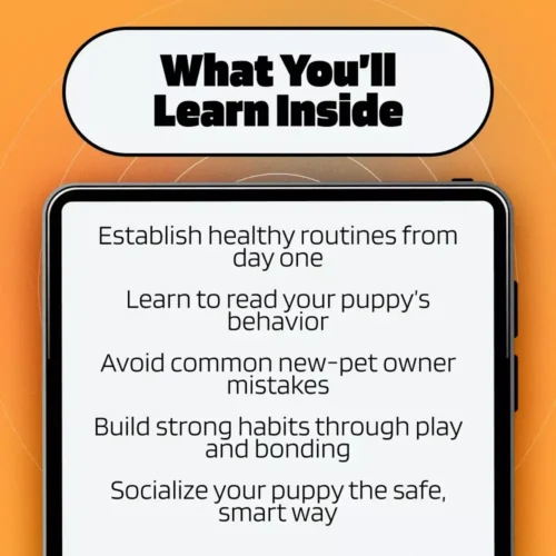 New Puppy Training Starter Guide | Printable Puppy Training eBook for Beginners | 4-Week Puppy Routine, House-Training, Commands, Socialization & More