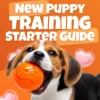 New Puppy Training Starter Guide | Printable Puppy Training eBook for Beginners | 4-Week Puppy Routine, House-Training, Commands, Socialization & More