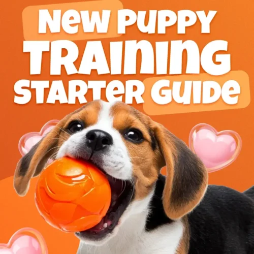New Puppy Training Starter Guide | Printable Puppy Training eBook for Beginners | 4-Week Puppy Routine, House-Training, Commands, Socialization & More