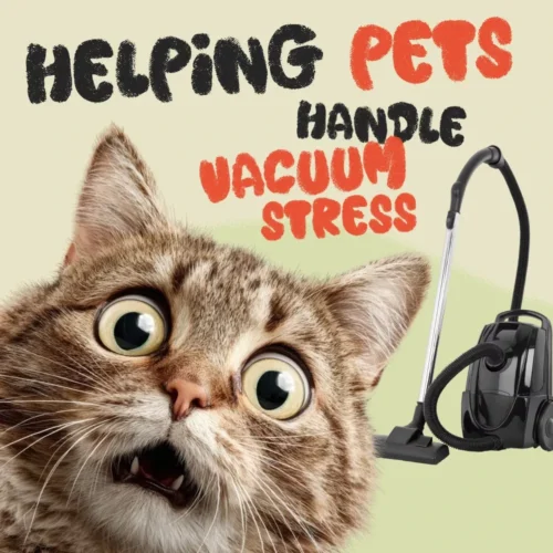 Helping Pets Handle Vacuum Stress