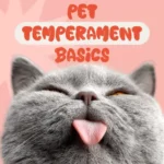 Understanding Your Pet’s Temperament: A Complete Guide to Decoding Dog and Cat Behavior for Better Care and Training