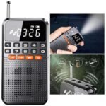Portable FM Radio Bluetooth Speaker with TF Card Slot, LED Flashlight, and Rechargeable Battery