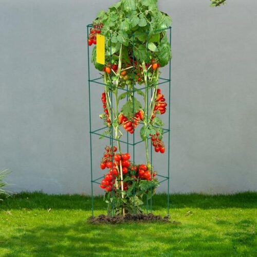 Heavy-Duty Tomato Cages for Climbing Plants