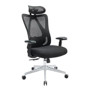 Ergonomic Mesh Office Chair with Lumbar Support, Adjustable Headrest & 2D Arms