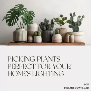 Picking Plants Perfect for Your Home’s Lighting | AI Plant Identification Checklist | How to Use AI to Identify Plants for Your Home's Lighting | Indoor Plant Matching Guide for Beginners
