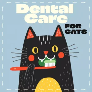 Dental Care for Cats | Feline Oral Health eBook | Cat Teeth Cleaning Guide | Digital Download for Pet Owners & Cat Lovers
