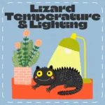 Lizard Temperature & Lighting Checklist | Reptile Care Guide for Bearded Dragons, Geckos & More | Printable Heat & UVB Setup eBook