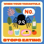 When Your Tarantula Stops Eating | Digital Guide for Tarantula Keepers | Understand Why Is My Tarantula Not Eating + Expert Tips & AI Care Tools