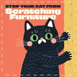 How to Stop Your Cat from Scratching Furniture Naturally | Cat Training eBook, Feline Behavior Guide, Pet Owner Printable, Cat Scratch Solution, Digital Download