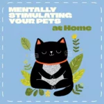 Mentally Stimulating Your Pets at Home | Enrichment eBook for Dogs & Cats | Indoor Activities & Training Ideas | How to Stimulate Pets Mentally Indoors Guide