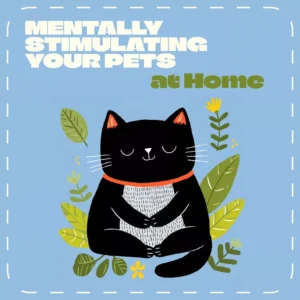 Mentally Stimulating Your Pets at Home | Enrichment eBook for Dogs & Cats | Indoor Activities & Training Ideas | How to Stimulate Pets Mentally Indoors Guide