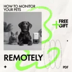 How to Monitor Your Pets Remotely – Smart AI Pet Monitoring Guide for Busy Pet Owners, Learn how to monitor pets remotely with Confidence