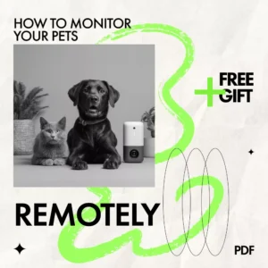 How to Monitor Your Pets Remotely – Smart AI Pet Monitoring Guide for Busy Pet Owners, Learn how to monitor pets remotely with Confidence