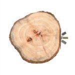 Buy Natural Wooden Bird and Small Pet Perch Online | Jogoka