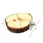 Buy Natural Wooden Bird and Small Pet Perch Online | Jogoka
