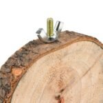 Buy Natural Wooden Bird and Small Pet Perch Online | Jogoka