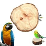 Buy Natural Wooden Bird and Small Pet Perch Online | Jogoka