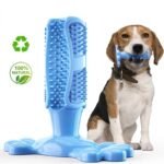 Buy Chewable Toothbrush Online | Jogoka