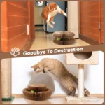 Buy Magic Foldable Cat Scratch Board with Bell Online | Jogoka