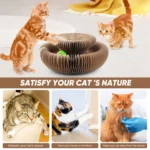 Buy Magic Foldable Cat Scratch Board with Bell Online | Jogoka