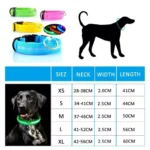 Buy Premium LED Pet Collar Online | Jogoka