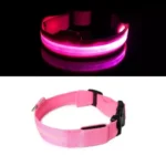 Buy Premium LED Pet Collar Online | Jogoka