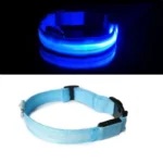 Buy Premium LED Pet Collar Online | Jogoka