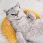 Buy Comfy U-Shape Plush Pillow for Cats & Small Dogs Online | Jogoka