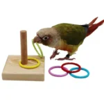 Buy Colorful Parrot Puzzle Toy Set Online | Jogoka