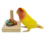 Buy Colorful Parrot Puzzle Toy Set Online | Jogoka