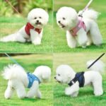 Buy Premier Reflective Harness Online | Jogoka
