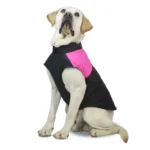 Buy Ultimate Comfort Waterproof Dog Winter Jacket Online | Jogoka
