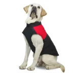 Buy Ultimate Comfort Waterproof Dog Winter Jacket Online | Jogoka
