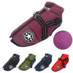 Buy Premium Dog Jacket Online | Jogoka