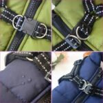 Buy Premium Dog Jacket Online | Jogoka
