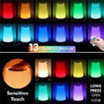 Buy 13-Color Changing Night Light with RGB Remote Control Online | Jogoka