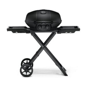 Buy Deluxe Gas BBQ Grill: Portable & Foldable with Temperature Control Online | Jogoka
