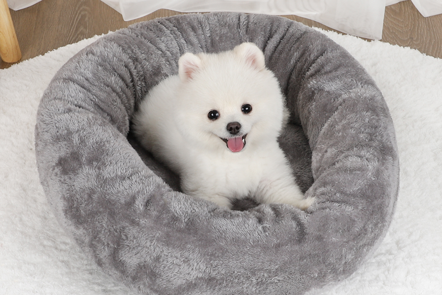 Smart-Pet-Hair-Drying-Box-12-1.webp | Jogoka