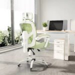 Ergonomic Reclining High Back Mesh Office & Gaming Chair with Lumbar Support and Footrest