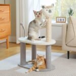 Small Cat Tree with Sisal Scratching Post and Play Area for Indoor Cats