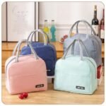 Insulated Lunch Tote Bag